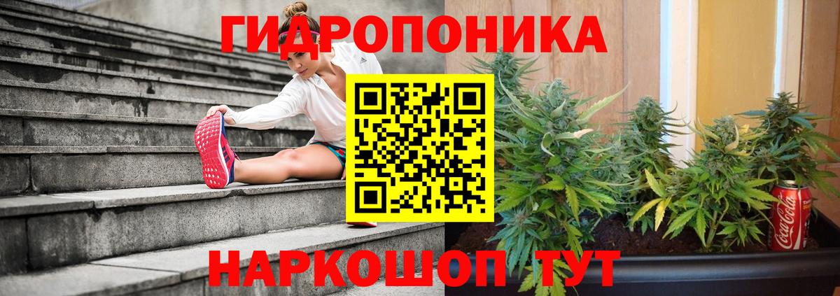 Шишки марихуана AK-47  Бошки марихуана Bruce Banner  Марихуана сатива  Вход с VPN  Марихуана White Widow  Орехово-Зуево 